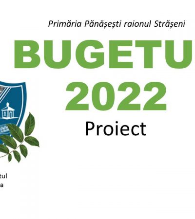 Bugetul comunei pe anul 2022 (proiect)